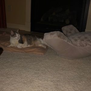 Meet your Posher, Cindy